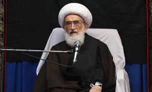 Ayatollah Noori Hamedani condemns brutal killing of Pakistan...